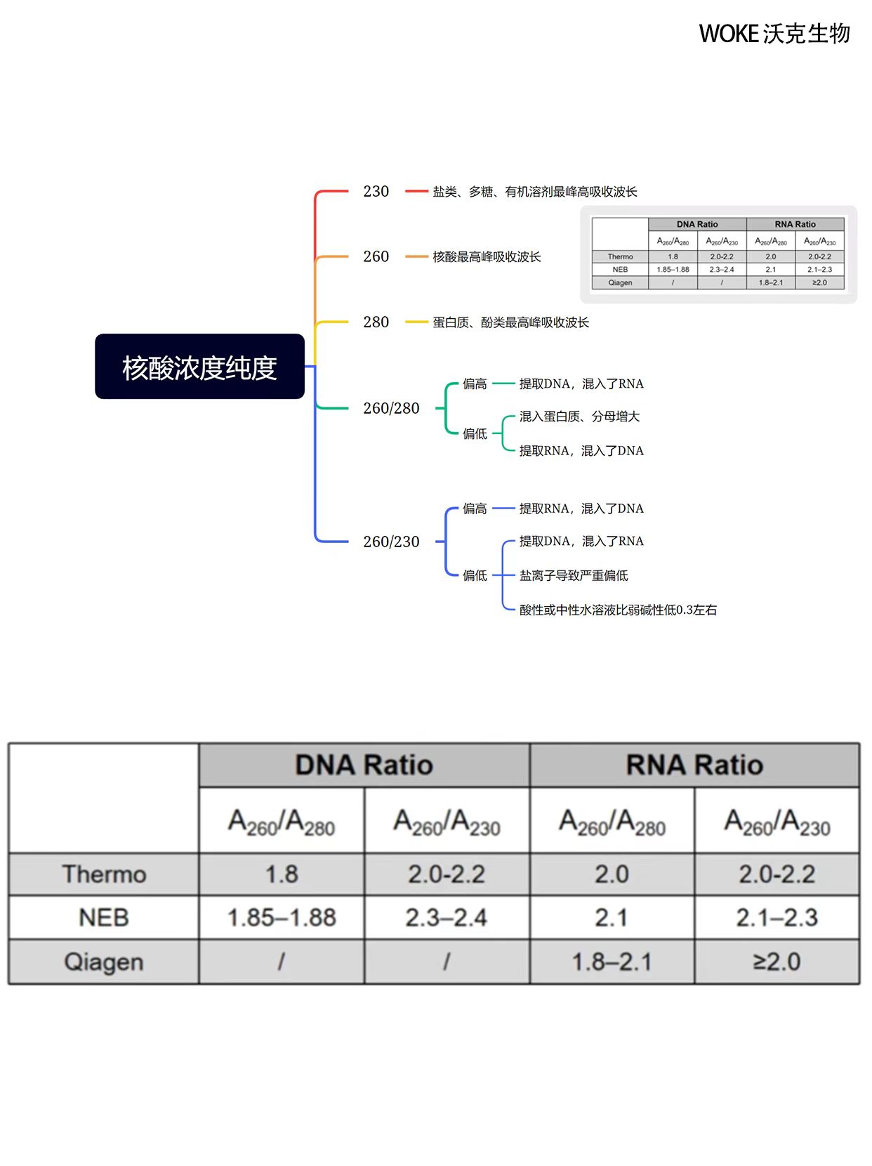 分析图.jpg