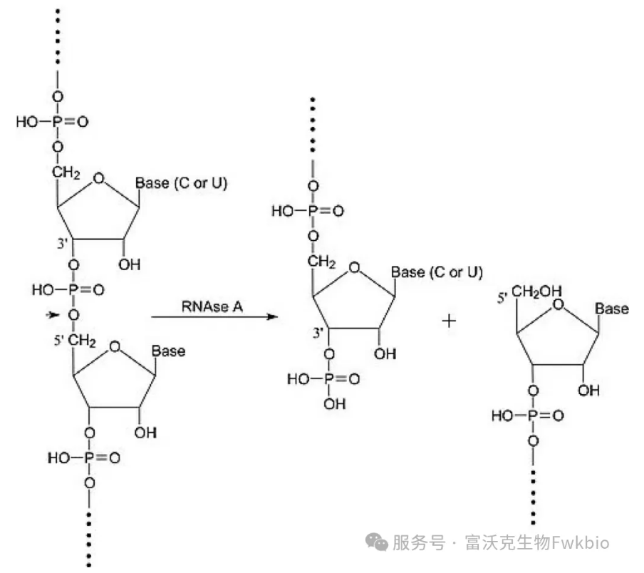 {D34ECBA6-B79E-422E-85E0-23874D036DFC}.png