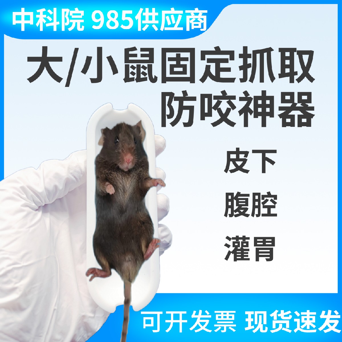 小鼠固定神器 灌胃 腹腔注射辅助 实验专用 抓鼠保护神器 防咬