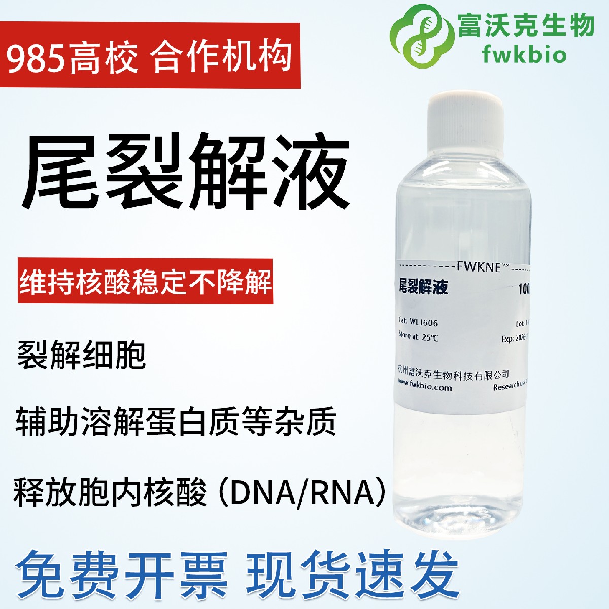 鼠尾裂解液 细胞组织裂解液 蛋白提取实验试剂多规格 富沃克生物