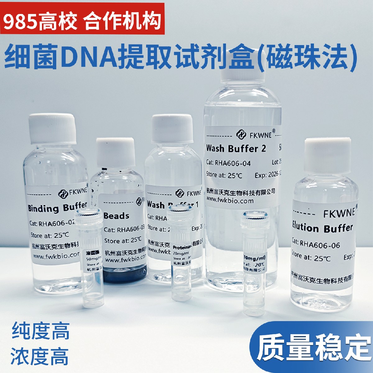 细菌DNA提取试剂盒磁珠法 DNA/RNA提取 科研试剂 可免费开票