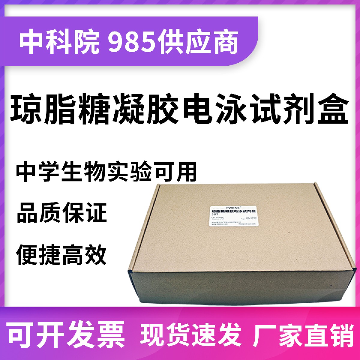 琼脂糖凝胶电泳教学试剂盒高中生物PCR教学 含DNA Marker即用体验