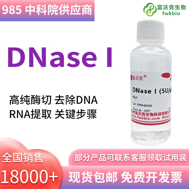 DNase I