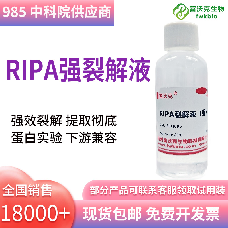 RIPA强裂解液