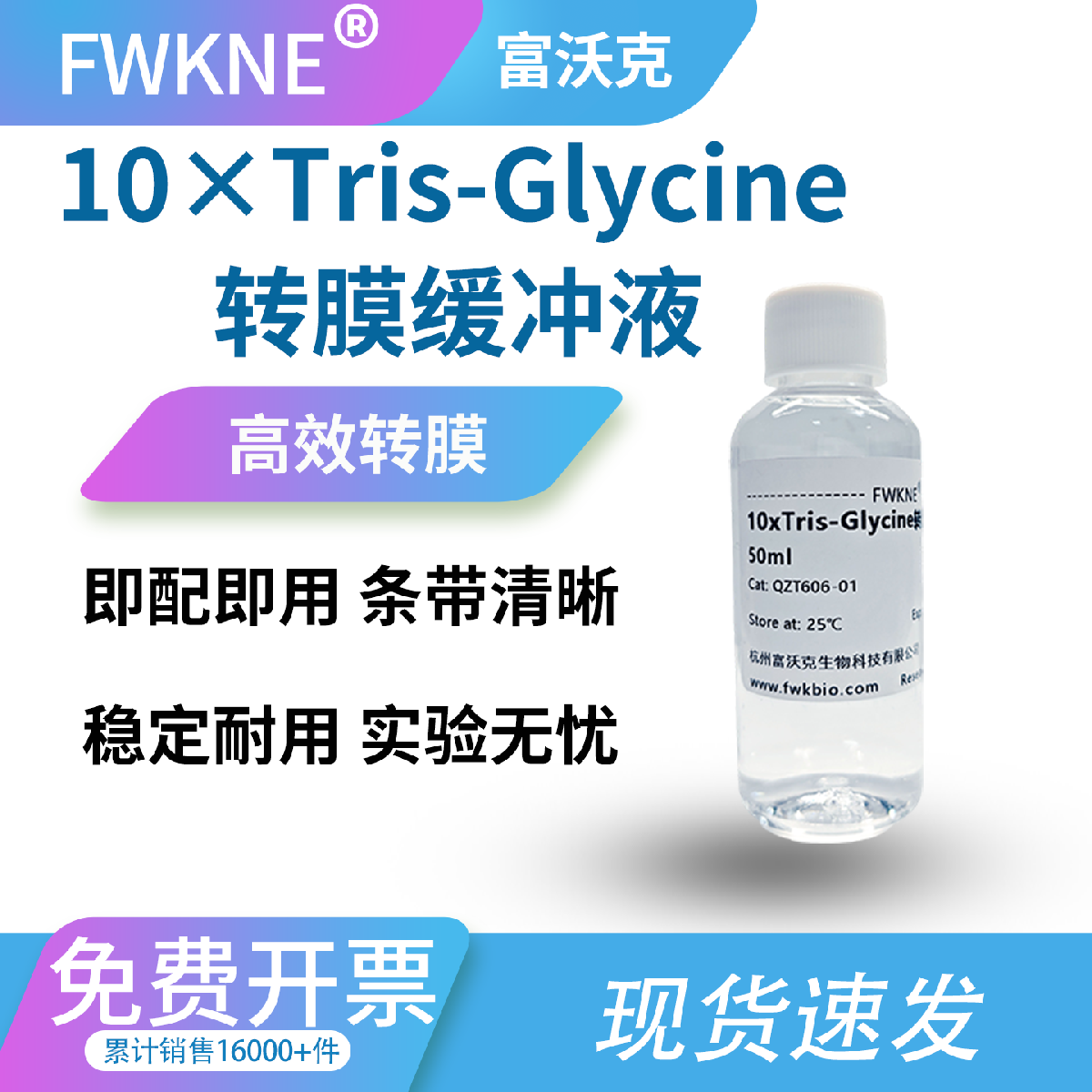 10×Tris-Glycine 转膜缓冲液 精准配比 pH 稳定 适配 WB 湿转半干转 减少条带弥散 高效助力蛋白完整转移