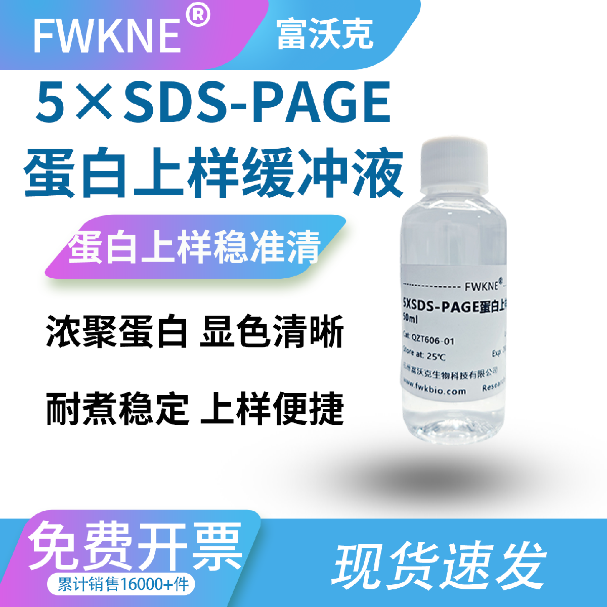 5×SDS-PAGE 上样缓冲液 科研版 标准浓缩配比 强效蛋白变性防聚集 自带电泳指示剂 减少条带拖尾 适配各类蛋白电泳实验