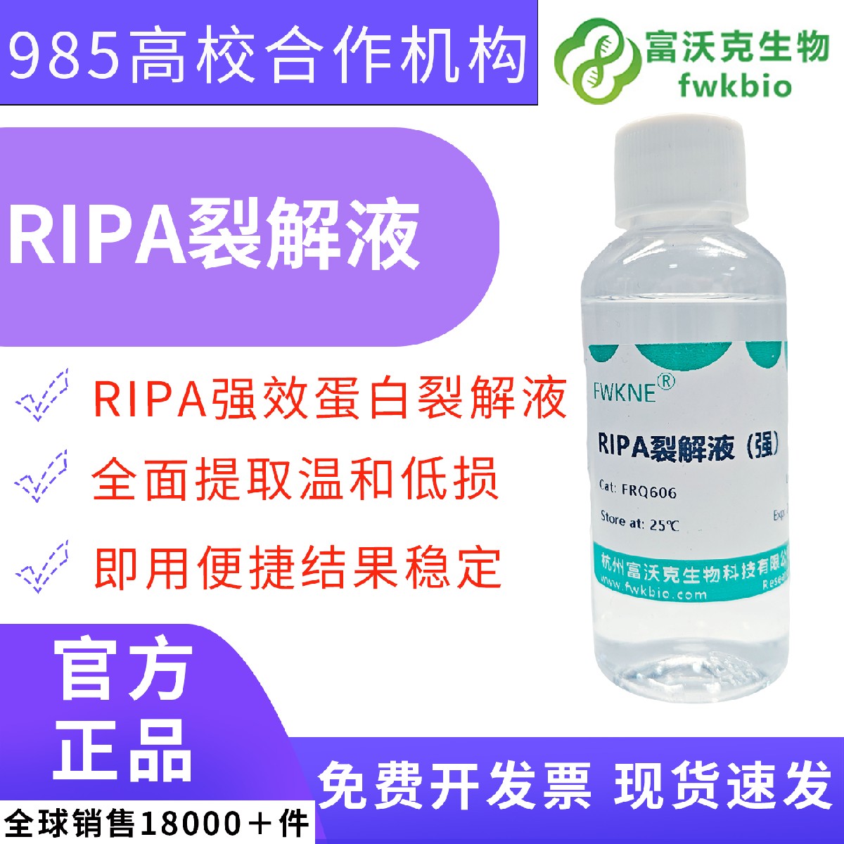 高效强 RIPA 细胞裂解液套装 含 1.5ml PMSF 蛋白酶抑制剂 100ml 规格 细胞总蛋白提取 Western Blot 实验室生化科研专用试剂