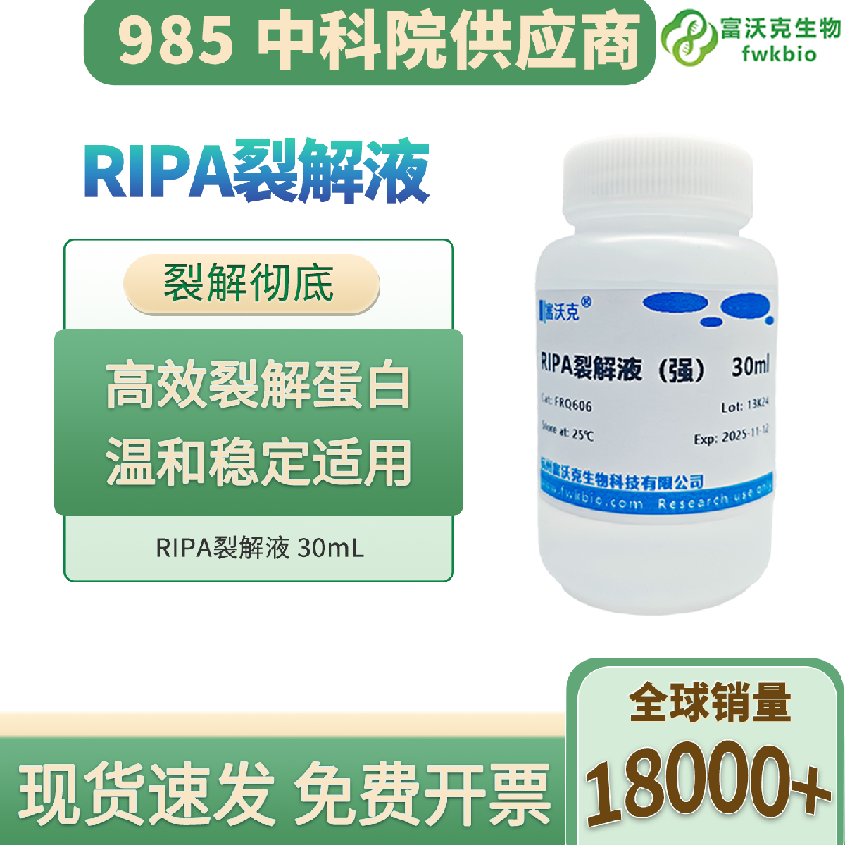 科研专用 RIPA 裂解液 强弱型细胞组织快速裂解液 WB PAGE 蛋白提取试剂