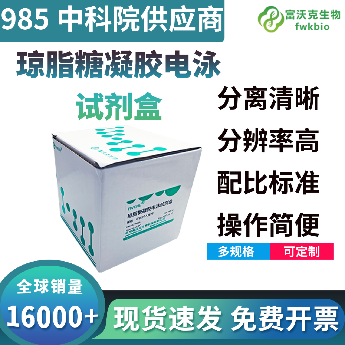 琼脂糖凝胶电泳教学试剂盒高中生物PCR教学 含DNA Marker即用体验