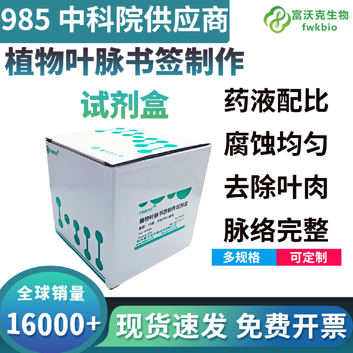 植物叶脉书签制作试剂盒
