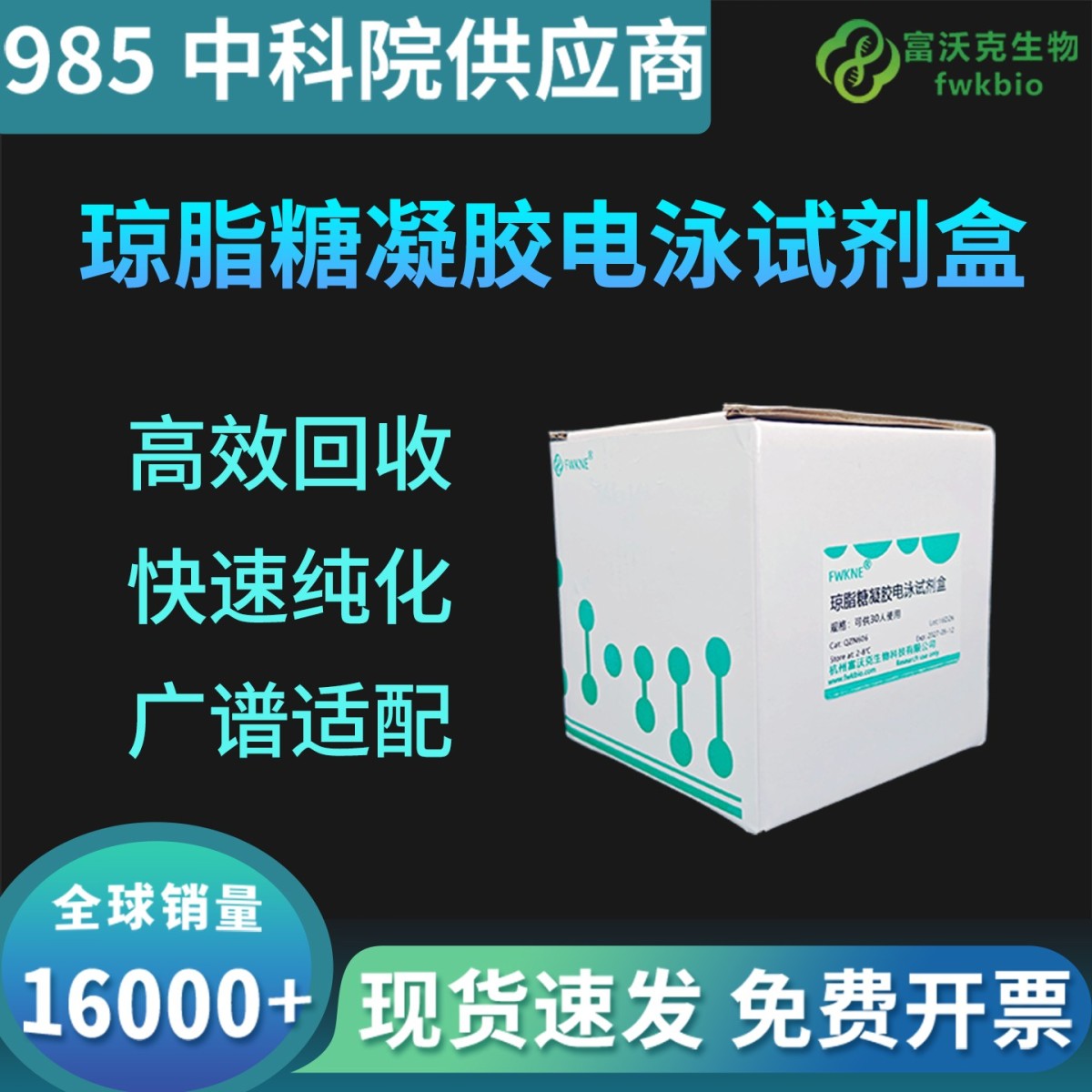 琼脂糖凝胶电泳试剂盒
