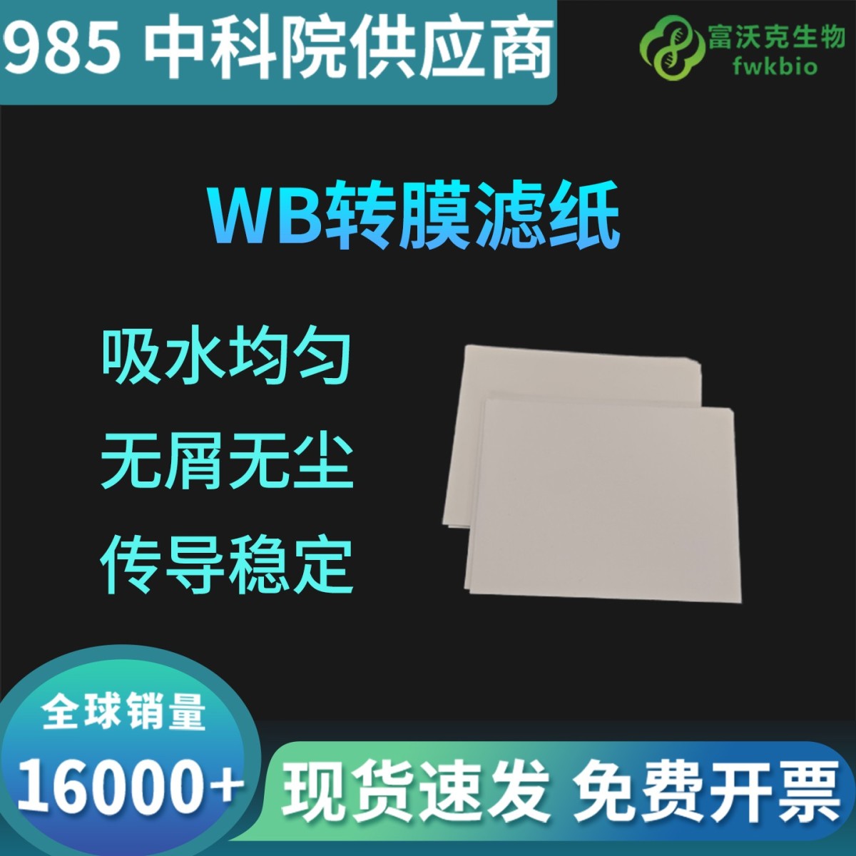 WB转膜滤纸