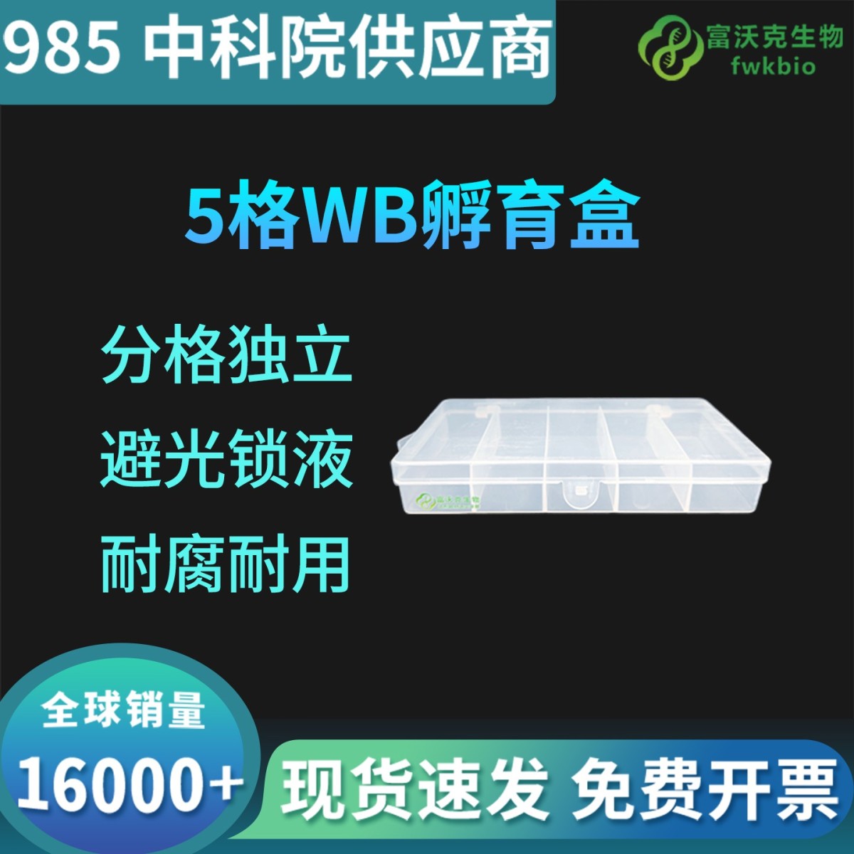 5格WB孵育盒
