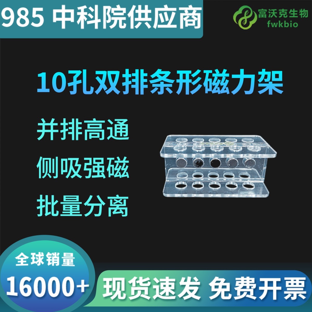 10孔双排条形磁力架